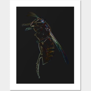 hornet, wasp t-shirt Posters and Art